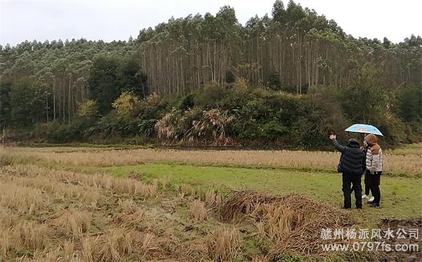 平顶山市陈老师带着爱徒寻龙点穴